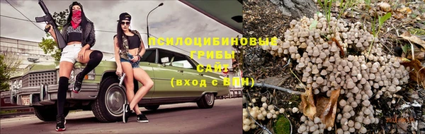 скорость Алзамай