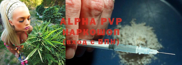 скорость Алексин