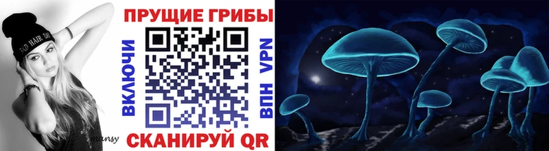 Псилоцибиновые грибы Psilocybe Дмитров