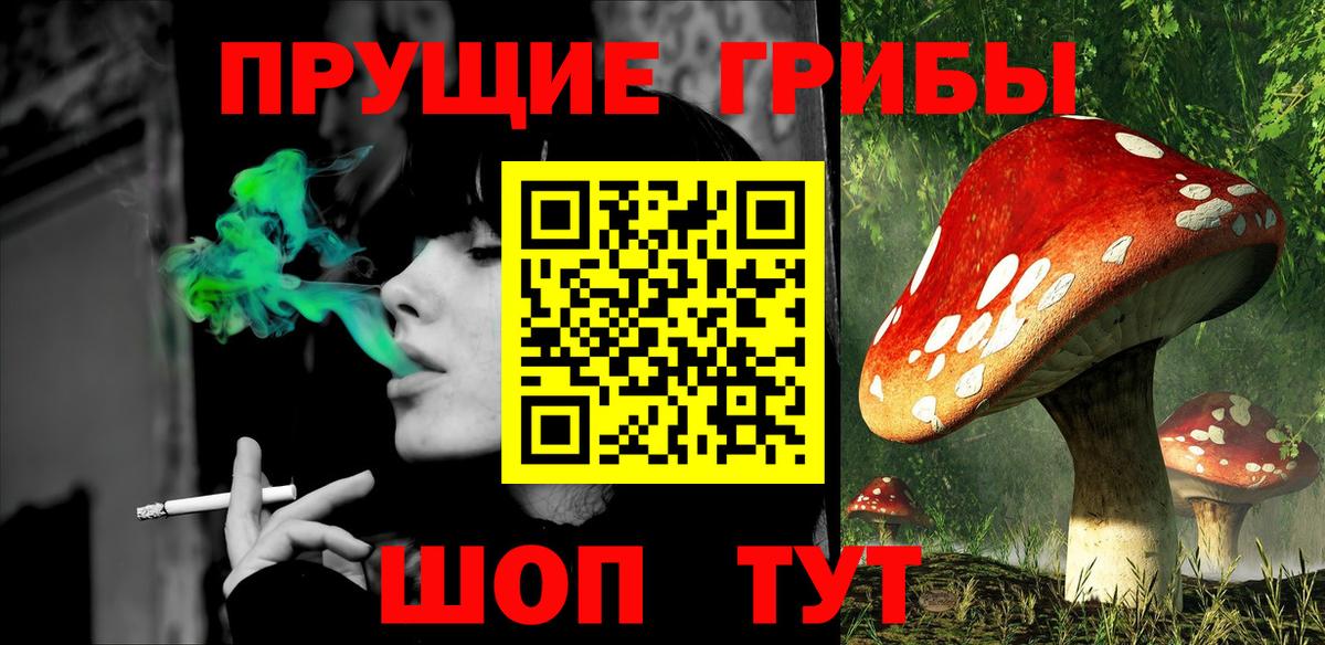Дмитров  Псилоцибиновые грибы прущие грибы  Вход с VPN  Галлюциногенные грибы ЛСД 